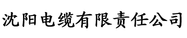 波多野结衣的片子av电缆厂logo